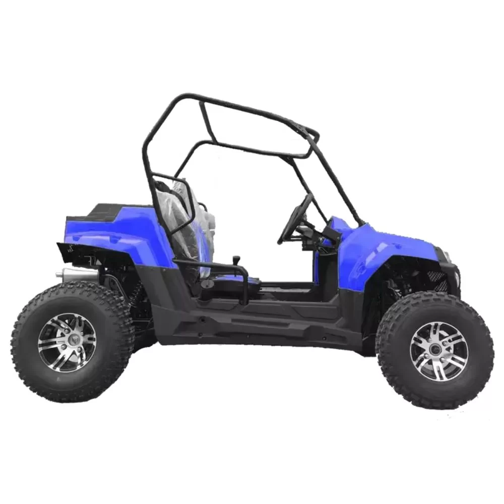 Багги HOOLEOX 300