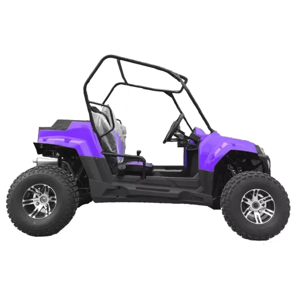Купить багги HOOLEOX 150 Багги HOOLEOX 150