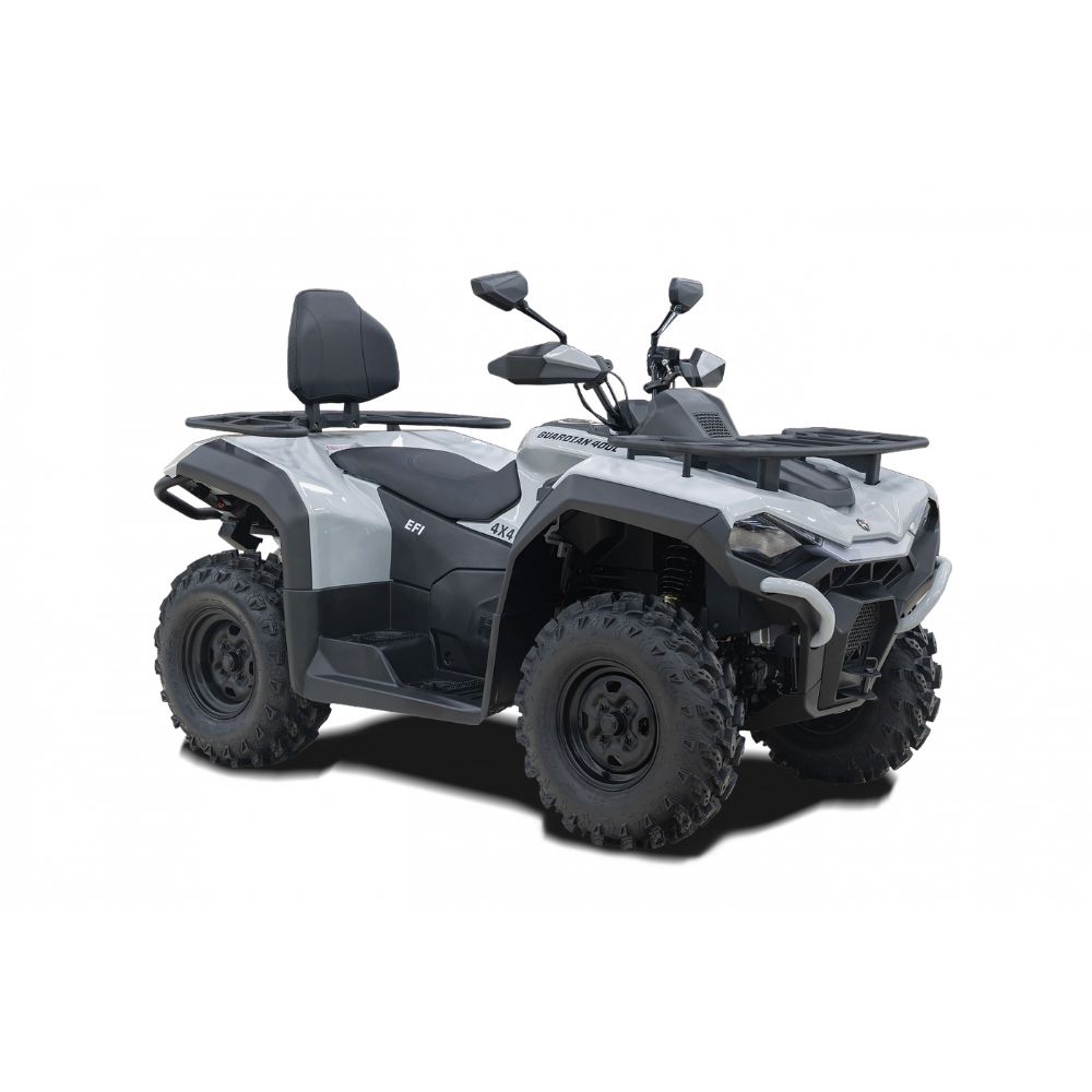 Снегоболотоход квадроцикл Hisun Guardian 400 Long