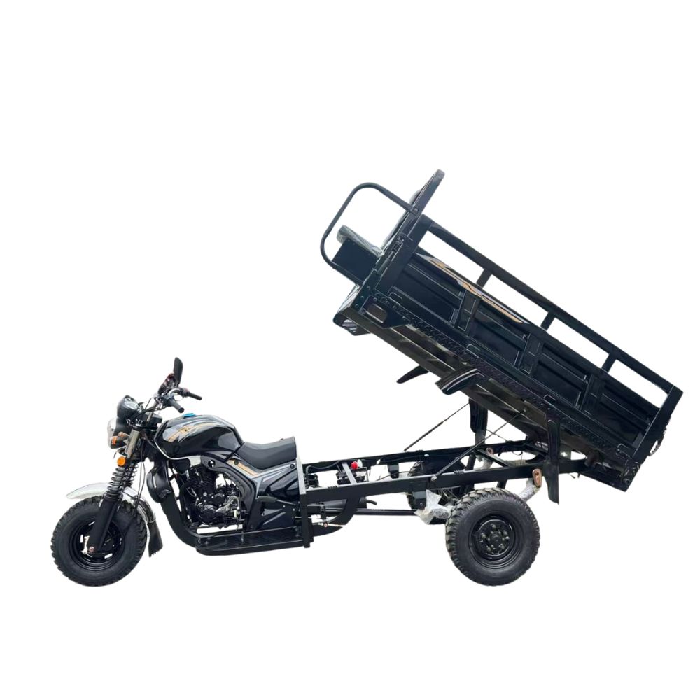 Грузовой трицикл АЯКС 6 (c пониженной передачей)