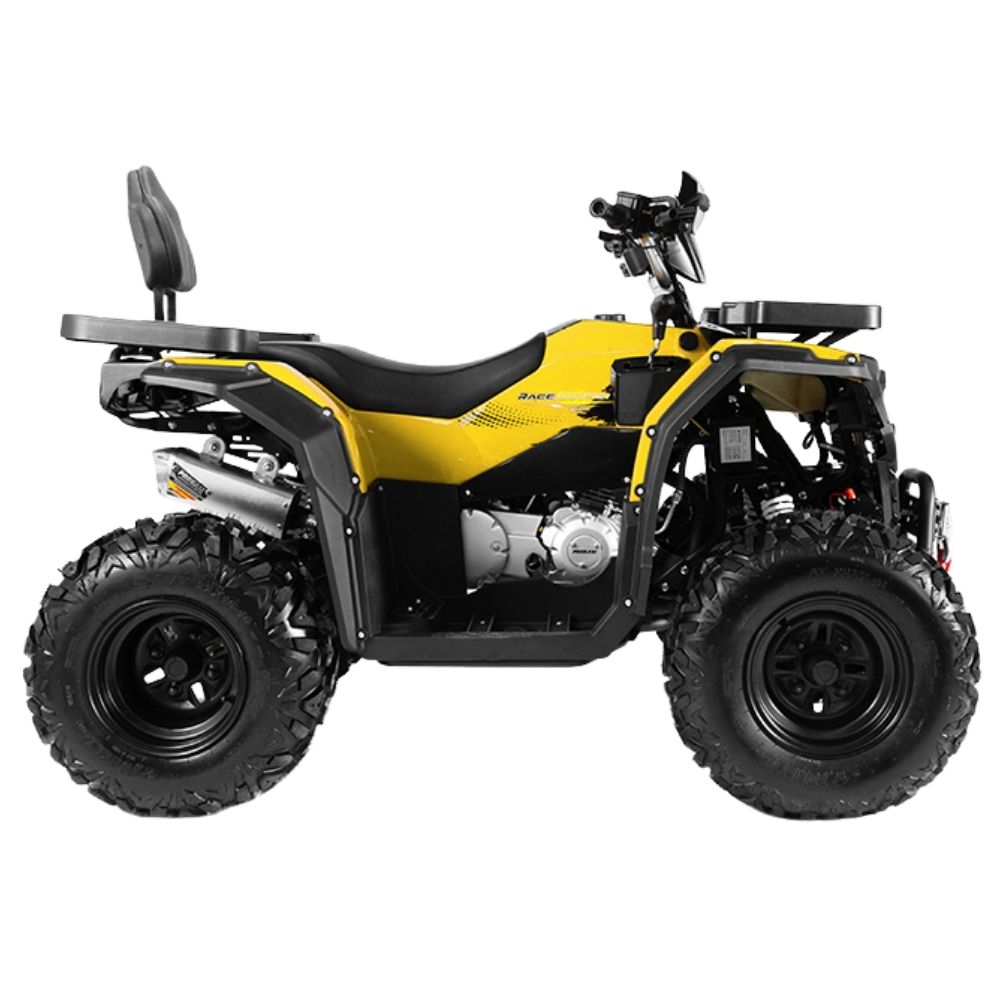 Купить квадроцикл PROGASI Race Jumper 200 Max Power (мотокомплект)