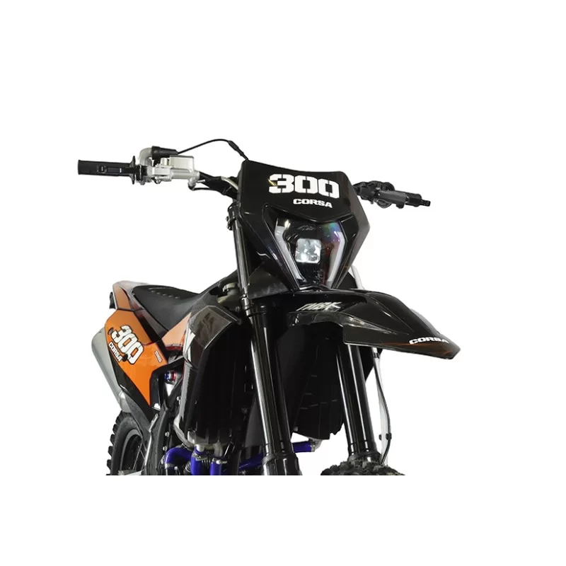 Мотоцикл TMBK CORSA 300