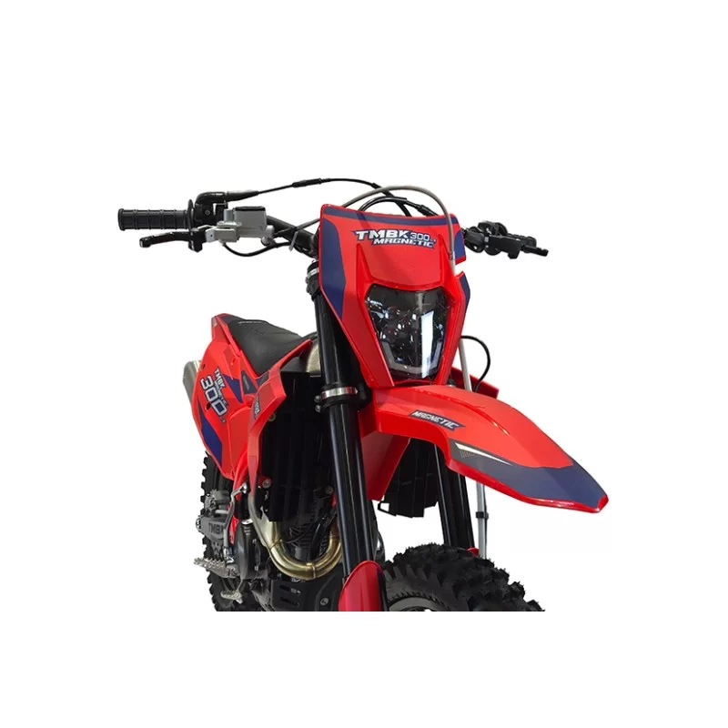 Мотоцикл TMBK MAGNETIC 300LX