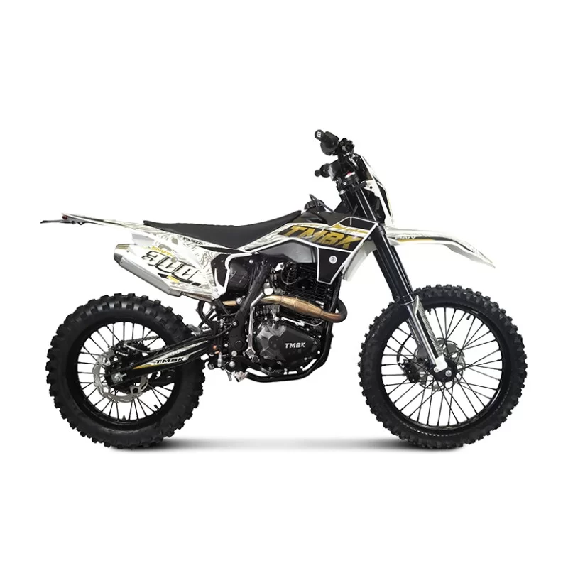 Мотоцикл TMBK ENVY 300 PRO