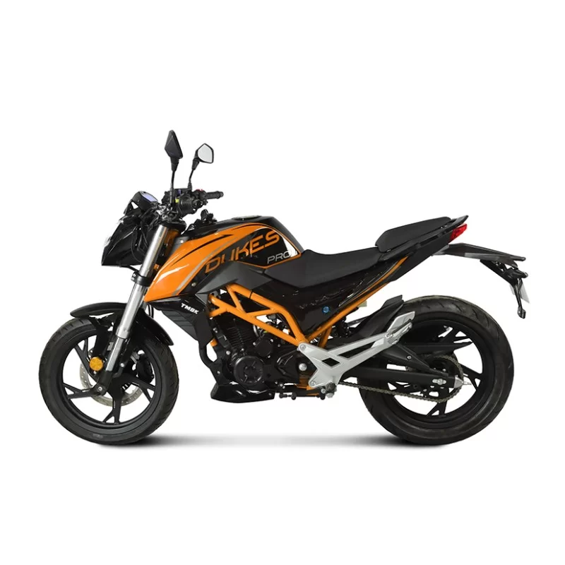 Купить Мотоцикл TMBK DUKES 250 PRO Мотоцикл TMBK DUKES 250 PRO