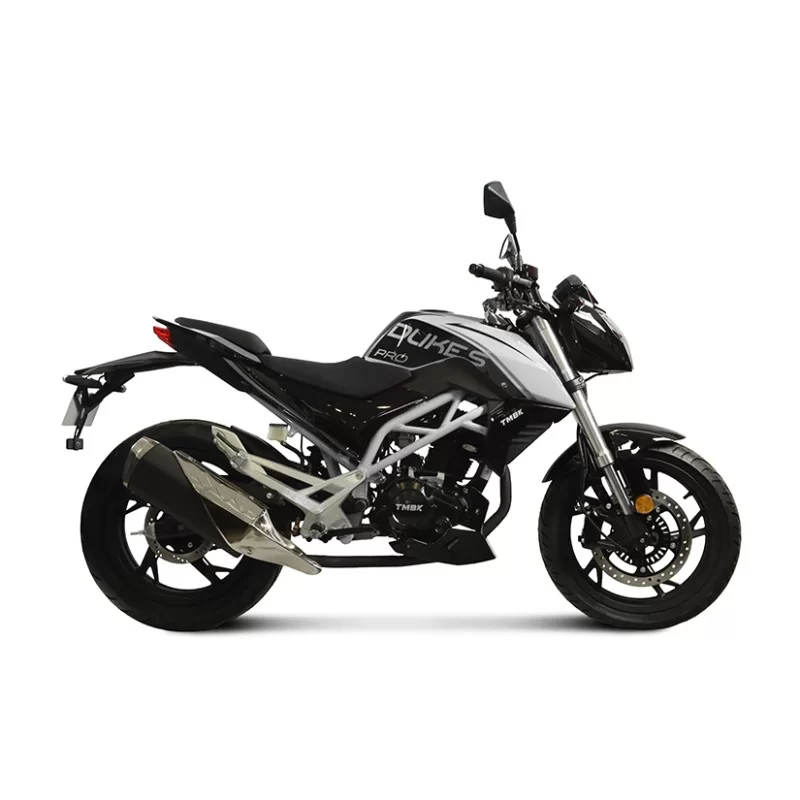 Купить Мотоцикл TMBK DUKES 250 PRO Мотоцикл TMBK DUKES 250 PRO