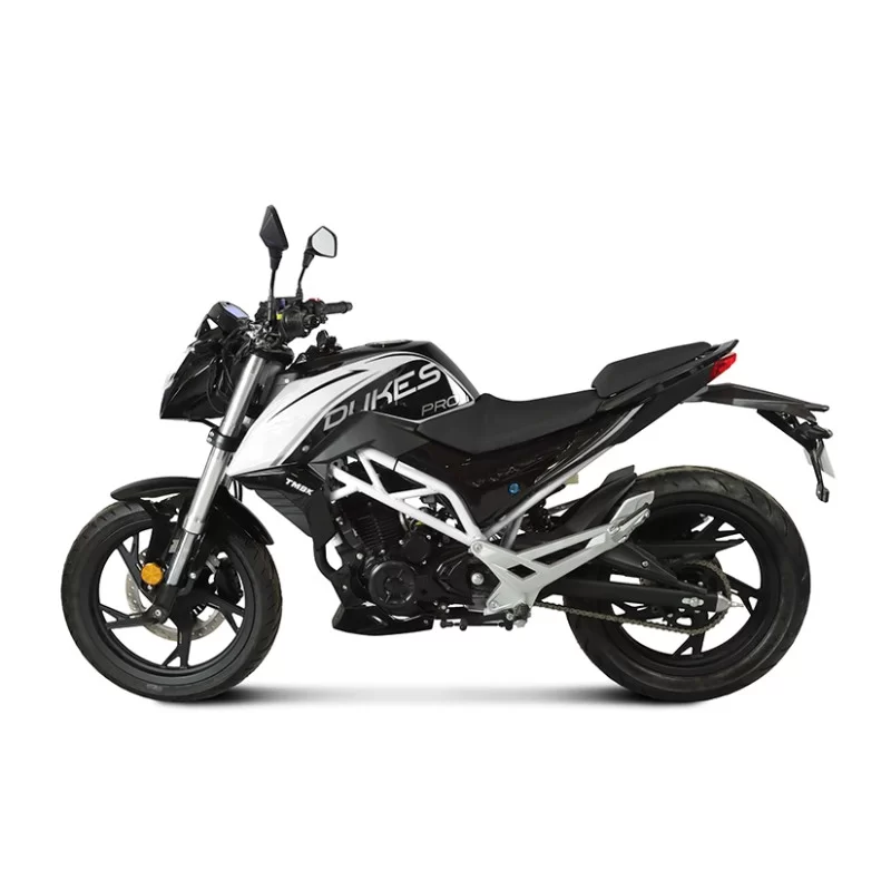 Купить Мотоцикл TMBK DUKES 250 PRO Мотоцикл TMBK DUKES 250 PRO
