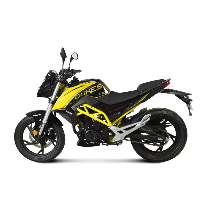 Купить Мотоцикл TMBK DUKES 250 PRO Мотоцикл TMBK DUKES 250 PRO