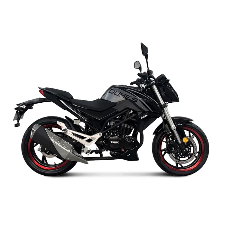Мотоцикл TMBK DUKES 200