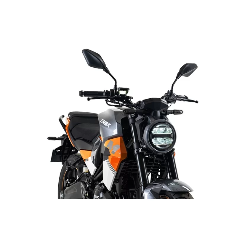 Купить Мотоцикл TMBK MONTANA 250 Мотоцикл TMBK MONTANA 250