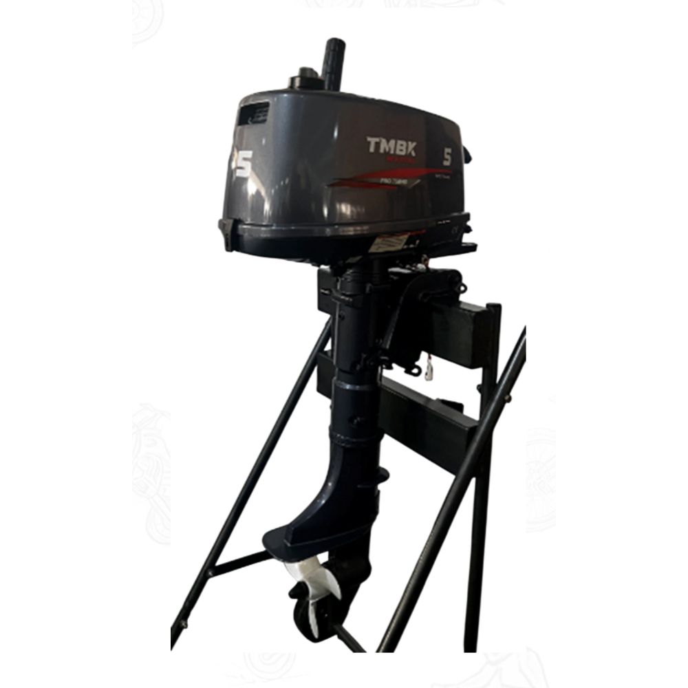 Купить двухтактный лодочный мотор TMBK Marine Pro 2T T5BMS