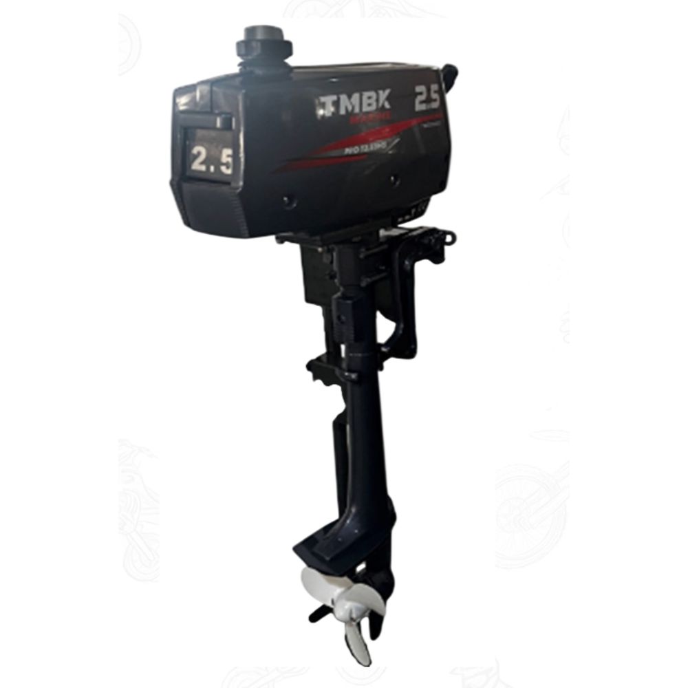 Купить двухтактный лодочный мотор TMBK Marine Pro 2T T2,5BMS