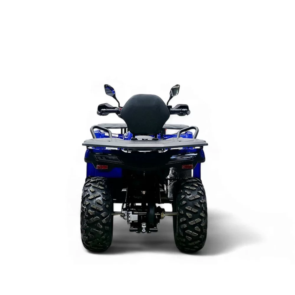 Купить квадроцикл Bizon YK250 LUX EFI ПТС Квадроцикл Bizon YK250 LUX EFI ПТС