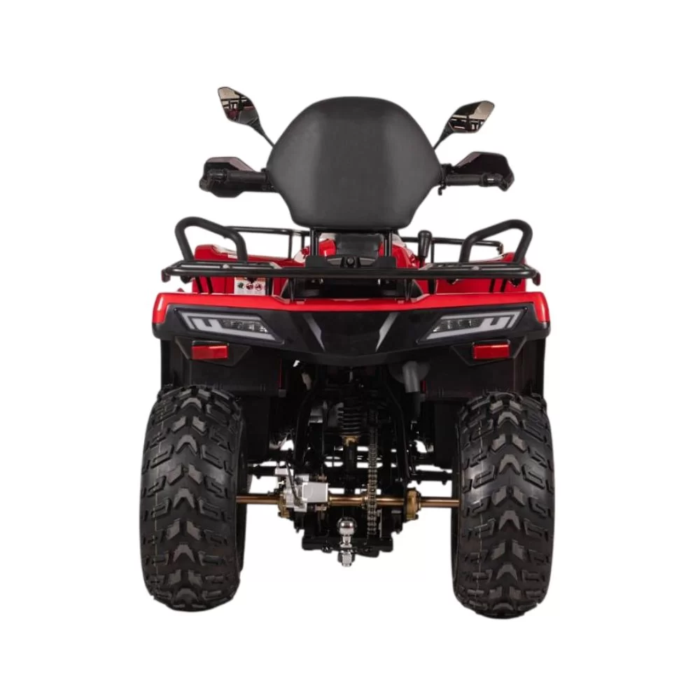 Электроквадрицикл Bizon YK250EL LUX Купить электроквадрицикл Bizon YK250EL LUX