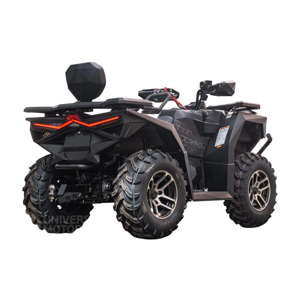 Квадроцикл YACOTA X-RIDER 300