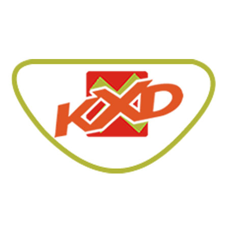 Компания KXD Motors