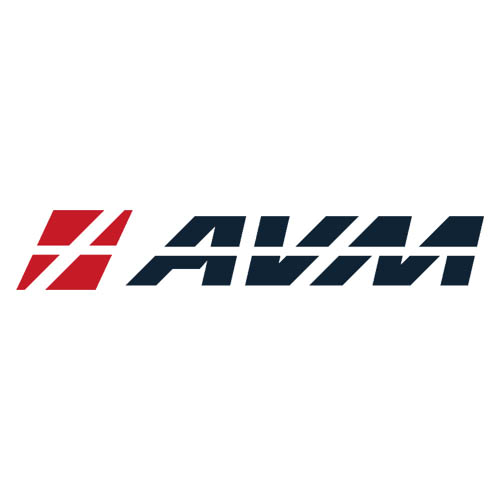 Бренд AVM: надёжный и недорогой электротранспорт для всех