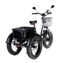 Электровелосипед трицикл E-Motions PANDA 750W