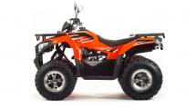 Квадроцикл Motoland ATV 200 MAX