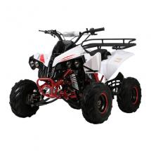 Квадроцикл WARRIOR RG7 125см + коробка автомат