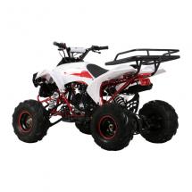 Квадроцикл WARRIOR RG7 125см + коробка автомат