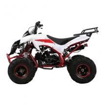 Квадроцикл WARRIOR RG7 125см + коробка автомат