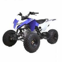 Купить квадроцикл ATV Pentora 125cc Квадроцикл Pentora 125cc