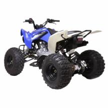 Купить квадроцикл ATV Pentora 125cc Квадроцикл Pentora 125cc