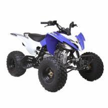 Купить квадроцикл ATV Pentora 125cc Квадроцикл Pentora 125cc