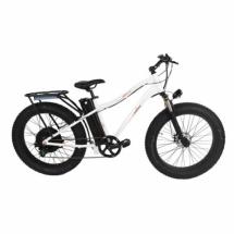  E-motions Megafat 3-15 2500W