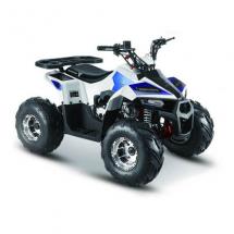 Купить квадроцикл MMG ATV MudHawk 110cc Квадроцикл MMG ATV MudHawk 110cc  (2022)