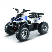 Купить квадроцикл MMG ATV MudHawk 110cc Квадроцикл MMG ATV MudHawk 110cc  (2022)