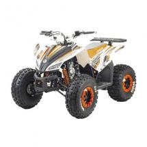 Купить квадроцикл MMG Coyote 125cc Квадроцикл MMG Coyote 125cc