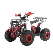 Купить квадроцикл WELS THUNDER EVO 125cc Квадроцикл WELS THUNDER EVO 125cc