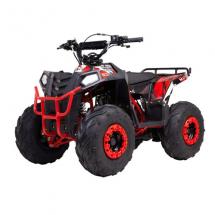 Купить квадроцикл WELS EVO.M 110cc Квадроцикл WELS EVO.M 110cc