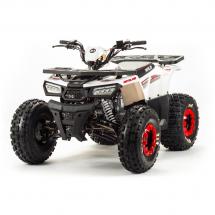 Квадроцикл MOTOLAND WILD 125сс