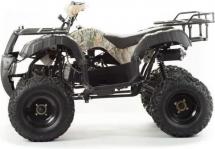 Квадроцикл Motoland 200 All Road 