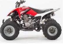 Купить Квадроцикл Motoland 250 S Квадроцикл Motoland 250 S