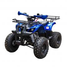 Квадроцикл Motoland Rider 110 