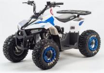 Квадроцикл Motoland Eagle 110 