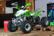 Купить Квадроцикл Motoland Dakar 250 Квадроцикл Motoland Dakar 250