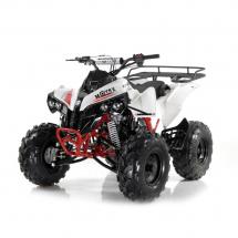 Квадроцикл подростковый бензиновый MOTAX ATV Raptor-LUX 125 сс