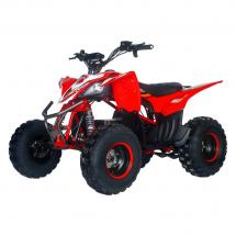 Купить Квадроцикл на аккумуляторе MOTAX E-PENTORA 1500W Квадроцикл на аккумуляторе MOTAX E-PENTORA 1500W