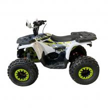Квадроцикл YACOTA FUSION PRO 125 NEW (мотокомплект)