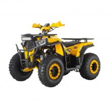 Квадроцикл Wels Trail 200cc (мотокомплект)