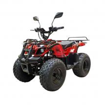 Купить Квадроцикл GreenCamel Атакама T120 (48V 800W R8 Цепь) Квадроцикл GreenCamel Атакама T120 (48V 800W R8 Цепь)