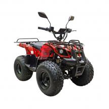 Купить Квадроцикл GreenCamel Атакама T120 (48V 800W R8 Цепь) Квадроцикл GreenCamel Атакама T120 (48V 800W R8 Цепь)
