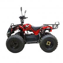 Купить Квадроцикл GreenCamel Атакама T120 (48V 800W R8 Цепь) Квадроцикл GreenCamel Атакама T120 (48V 800W R8 Цепь)