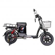 Электровелосипед Master PRO 1200W 30Ah