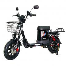 Электровелосипед Master PRO 1200W 30Ah